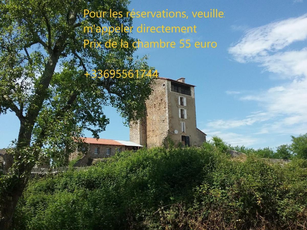 Chateau Montegut Rustique Exteriér fotografie
